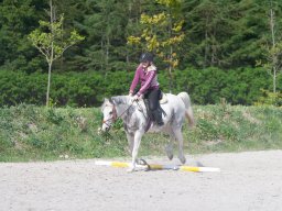 IMG_0507_web